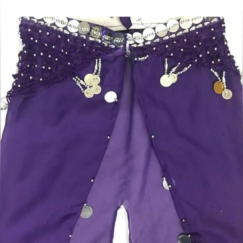 Belly Dancer Girls Toddler 2PC Purple Costume & Silver Dangles SMALL